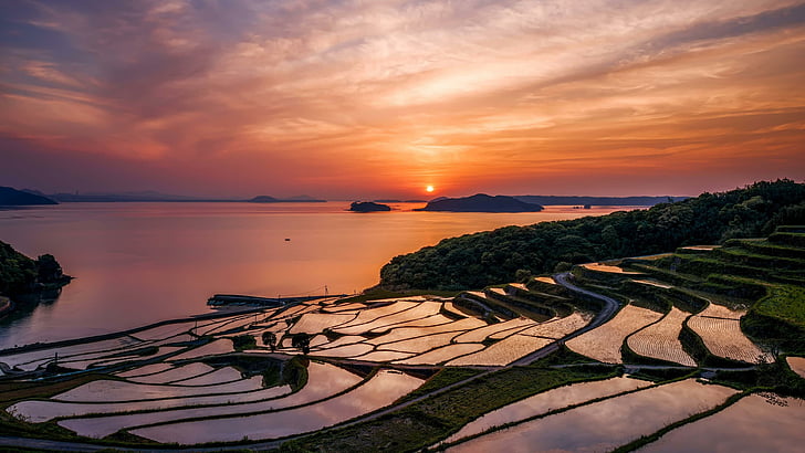 Japón, campo, campo de arroz, puesta de sol, paisaje, cielo, cielo anaranjado, paisaje acuático, horizonte, terraza, reflexión, Nagasaki, Asia, resplandor crepuscular, noche, Fondo de pantalla HD