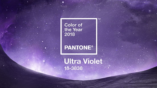 сплошной цвет, логотип, фиолетовый, HD обои HD wallpaper