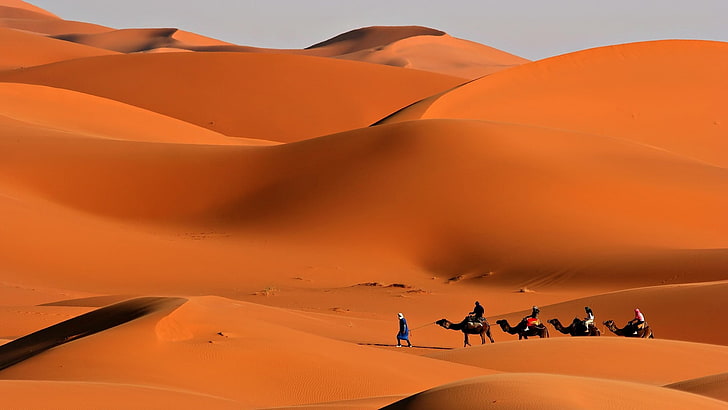 sanddyner, husvagn, öken, kameler, sand, värme, väg, HD tapet