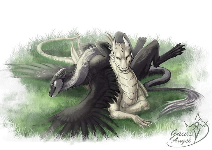 white and black dragon illustration, dragon, HD wallpaper