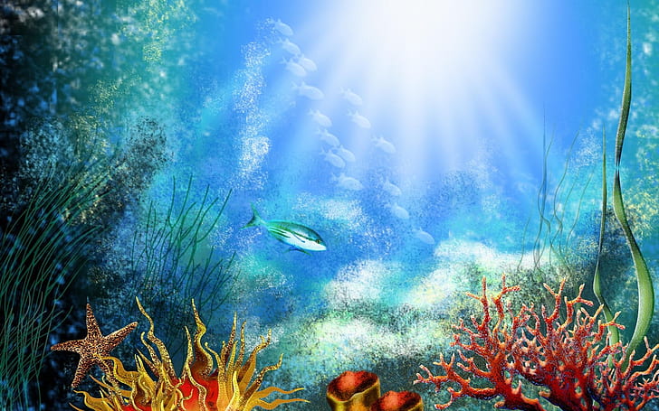 Подводный мир кораллов, подводный мир, коралл, HD обои