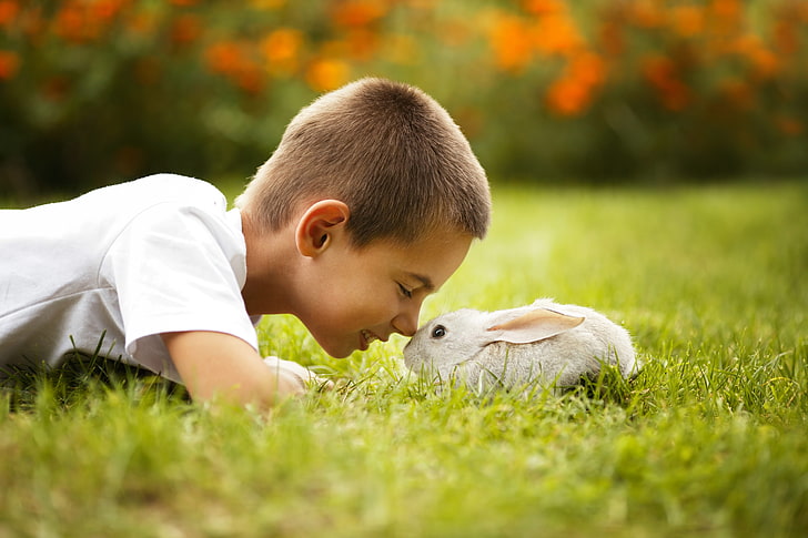 boy's white shirt and white rabbit, boy, rabbit, grass, HD wallpaper
