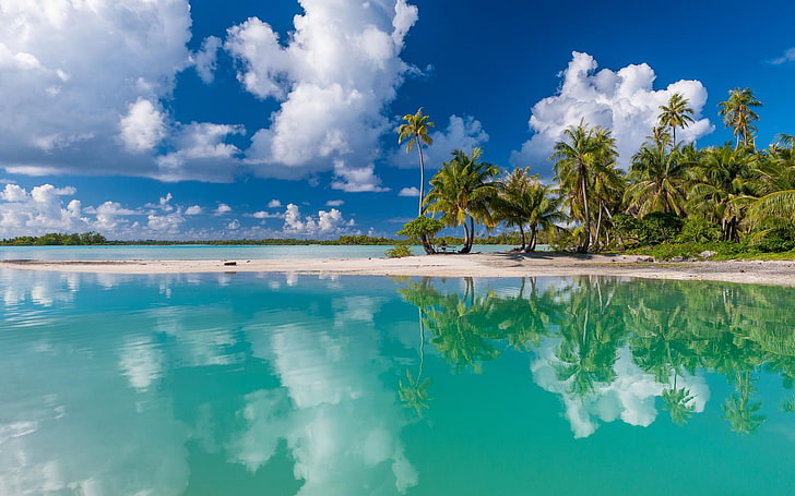 palmeras verdes y cuerpo de agua, naturaleza, tropical, isla, playa, blanco, arena, turquesa, mar, reflexión, verano, Polinesia francesa, nubes, palmeras, paisaje, Fondo de pantalla HD