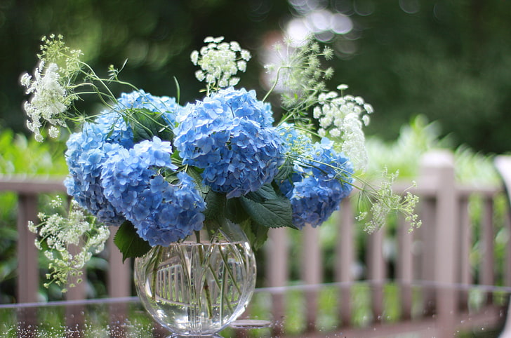 blue flowers, hydrangea, vase, bouquet, sharpness, HD wallpaper