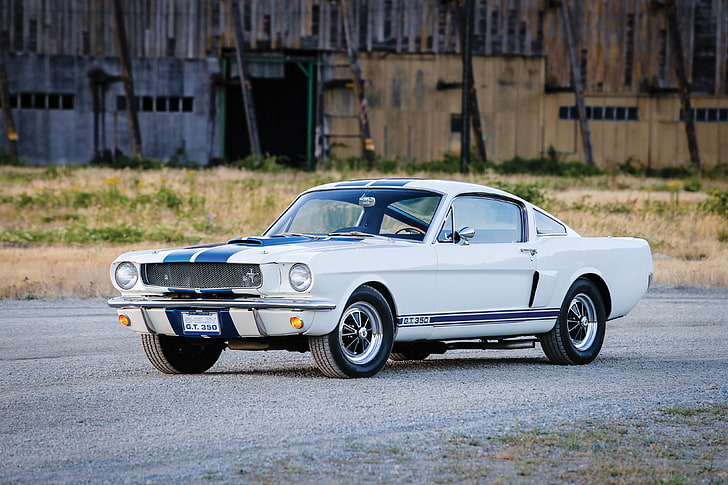 white Ford Mustang GT 350 coupe, shelby, ford, mustang, gt350, side view, HD wallpaper