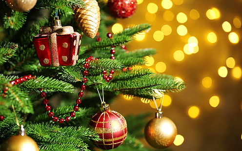 Merry Christmas Ornaments Tree, pohon Natal dan beberapa ornamen, Festival / Liburan, Natal, pohon, festival, liburan, Wallpaper HD HD wallpaper