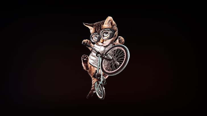 kittens, bycicle, BMX, biker, glasses, black background, simple background, artwork, minimalism, HD wallpaper