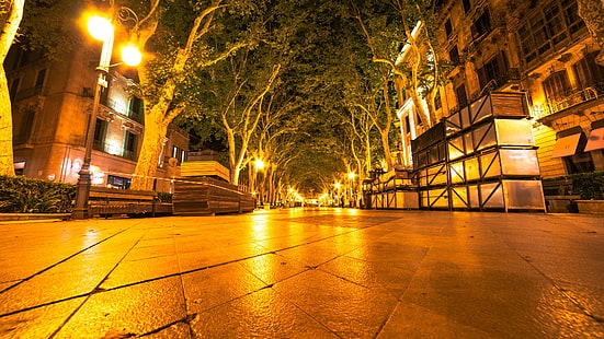 กลางคืน, สีเหลือง, สถานที่สำคัญ, ตัวเมือง, เขตเมือง, เบา, เมือง, ไฟถนน, แสง, ตอนเย็น, ต้นไม้, ตัวเมือง, ถนน, วอลล์เปเปอร์ HD HD wallpaper