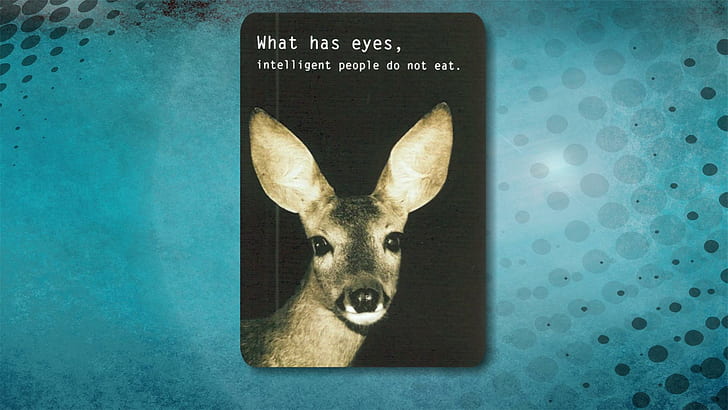 What Has Eyes, deer, rights, vegan, love, vegetarian, animal, animals, HD wallpaper