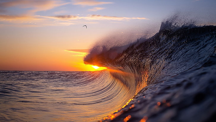 ola, mar, ola de mar, puesta de sol, Fondo de pantalla HD