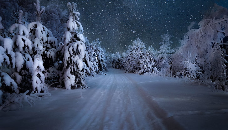 зима, дорога, лес, небо, снег, деревья, снежинки, ночь, снег, HD обои