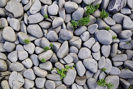 piedras, gris, fondo, rocas, gris, textura, guijarros, Fondo de pantalla HD HD wallpaper