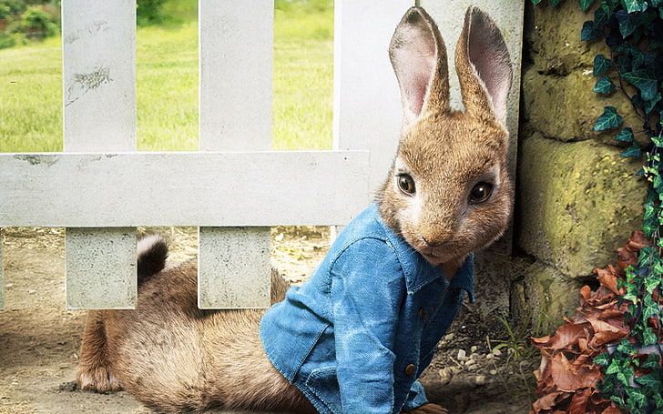 Peter Rabbit 2018 HD Movie, lapin brun, Fond d'écran HD