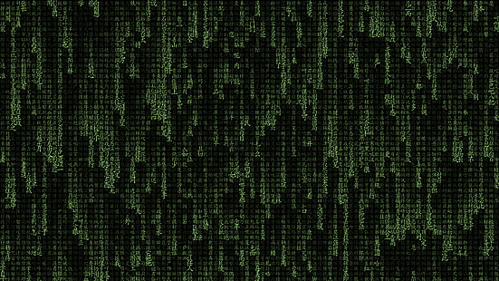 матрица, компьютер, типография, хакер, Ubuntu, Linux, терминал, HD обои HD wallpaper