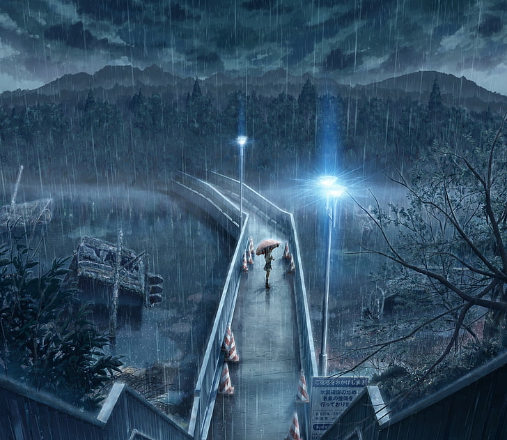 foto una persona che usa l'ombrello sul ponte, pioggia, da solo, notte, anime, Sfondo HD