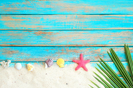 sabbia, spiaggia, sfondo, tavola, stella, conchiglia, estate, legno, marino, stella marina, conchiglie, Sfondo HD HD wallpaper