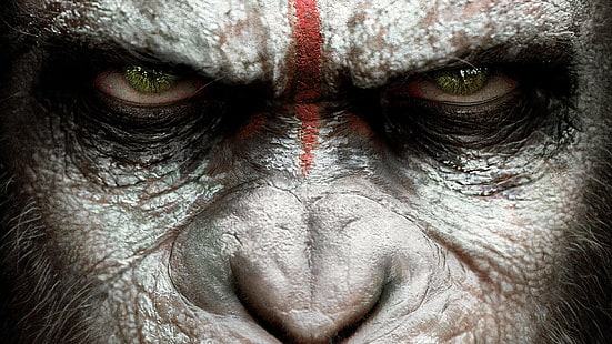 Film, Morgendämmerung des Planeten der Affen, HD-Hintergrundbild HD wallpaper