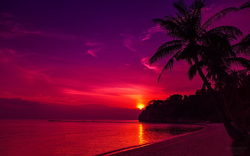 таиланд пляж закат-пейзаж HD обои, силуэт пальмы, HD обои HD wallpaper