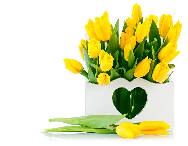 fiori di tulipano giallo, fiori, bouquet, tulipani, tulipani gialli, Sfondo HD