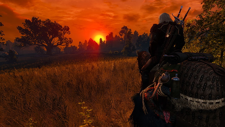 The Witcher 3: Wild Hunt, Geralt of Rivia, Nvidia Ansel, regardant au loin, Fond d'écran HD
