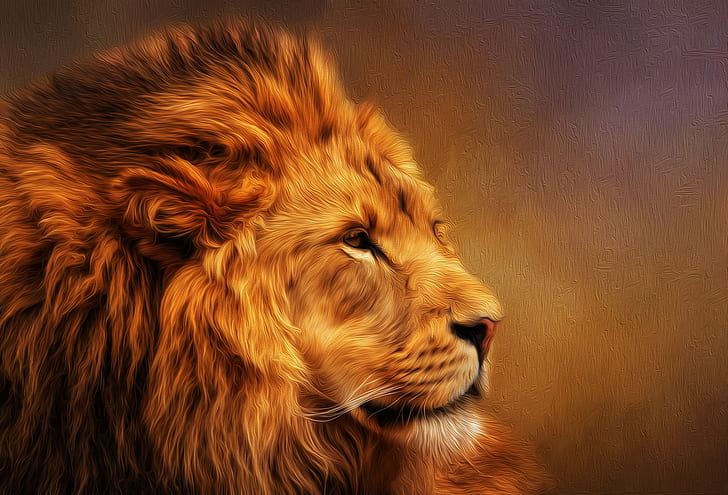 Cats, Lion, Oil Painting, HD wallpaper