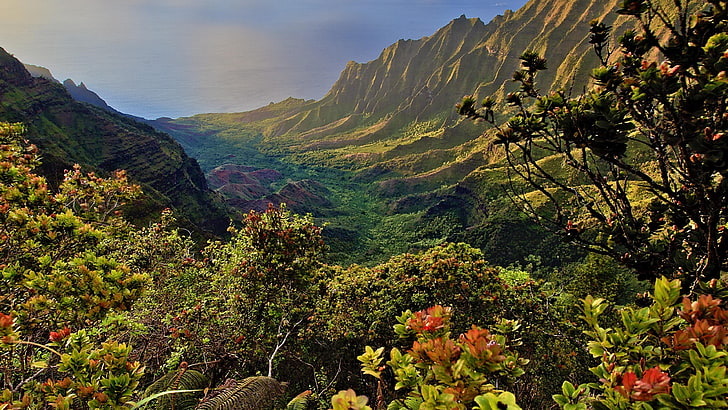 mountains, plants, shrubs, landscape, trees, valley, kalalau valley, hawaii, HD wallpaper