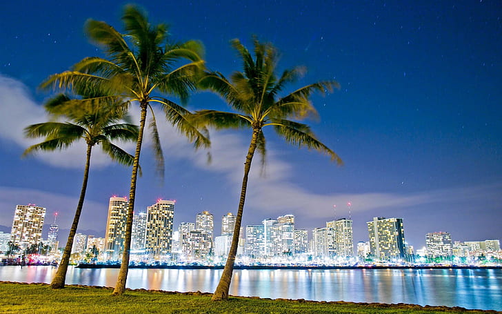 Hawaii, Honolulu, Beach Park, bâtiments, nuit, lumières, Hawaii, Honolulu, Beach, Park, bâtiments, nuit, lumières, Fond d'écran HD