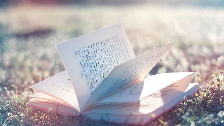 книги, глубина резкости, солнце, трава, книги, солнце, HD обои
