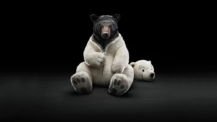 urso pardo, ursos, ursos polares, HD papel de parede
