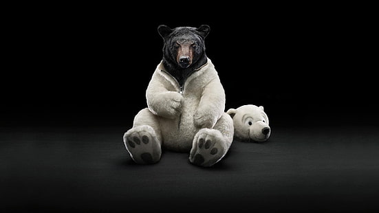 niedźwiedź grizzly, niedźwiedzie, niedźwiedzie polarne, Tapety HD HD wallpaper