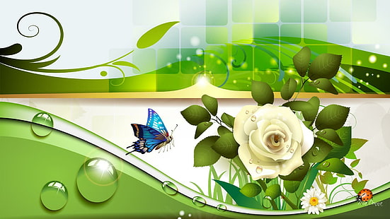 Schönheit der weißen Rose, fleur, papillon, Blätter, Schmetterling, Blumen, Wasser, Frühling, Zusammenfassung, frisch, Damenwanze, Marienkäfer, HD-Hintergrundbild HD wallpaper