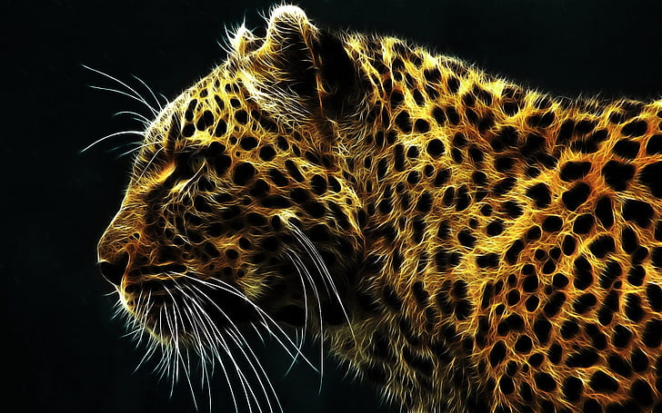 Sfondi desktop di Animali Leopard Fire HD 1920 × 1200, Sfondo HD