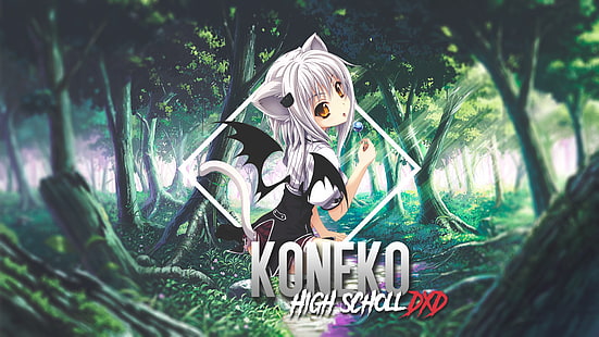 High School DxD, Toujou Koneko, Anime, unscharf, Bild, HD-Hintergrundbild HD wallpaper