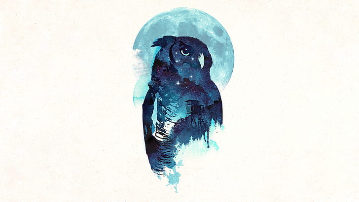 Burung Hantu, Tengah Malam, Robert Farkas, Wallpaper HD