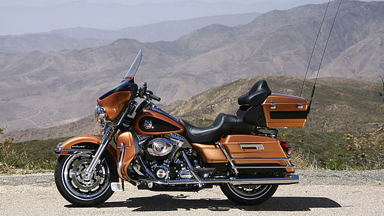 кафяво и черно туристически мотоциклет, Харли Дейвидсън, мотоциклет, мотор, изглед, HD тапет HD wallpaper