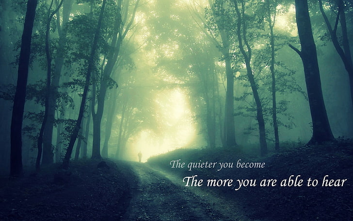 quote poster, jungle, backtrack, silent, quote, forest, HD wallpaper