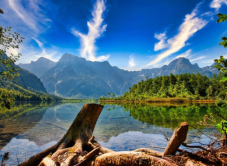 forest, mountains, lake, reflection, Austria, Alps, driftwood, Almsee, Lake Else, Lake Alm, Озеро Альм, HD wallpaper