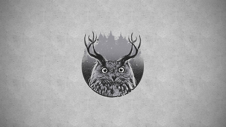 illustration de hibou noir et gris, hibou, cornes, Fond d'écran HD