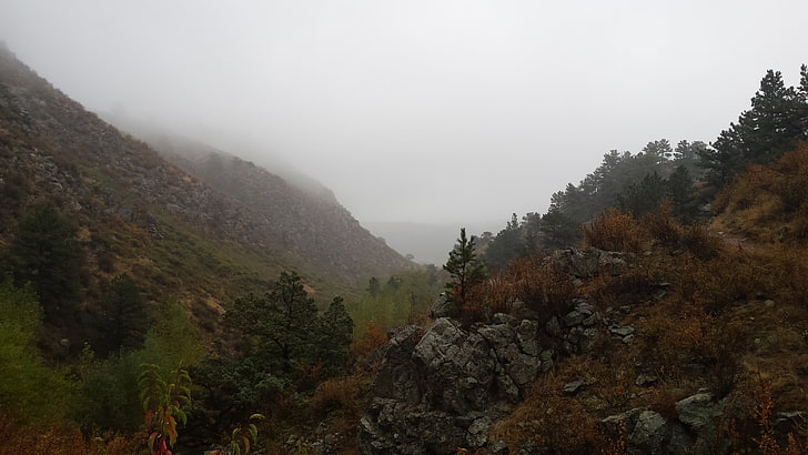 paisagem, névoa, HD papel de parede