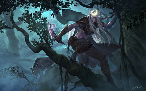 World of Warcraft, nocne elfy, elfy, elfy, druid, łotrzyk, Jianing Hu, Tapety HD HD wallpaper