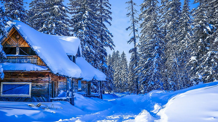 vinter, snö, timmerstuga, natur, träd, hus, himmel, snöig, gran, tall, alperna, frost, barrträd, ryssland, khabarovsk krai, HD tapet