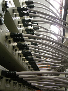 Kabel, komputer, Ethernet, IT, Sieć, Tapety HD HD wallpaper
