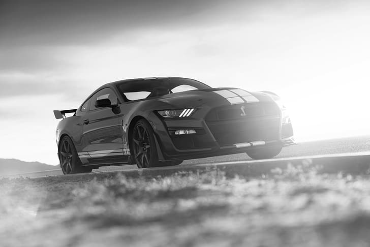 Mustang, Ford, Shelby, GT500, roadside, 2019, HD wallpaper