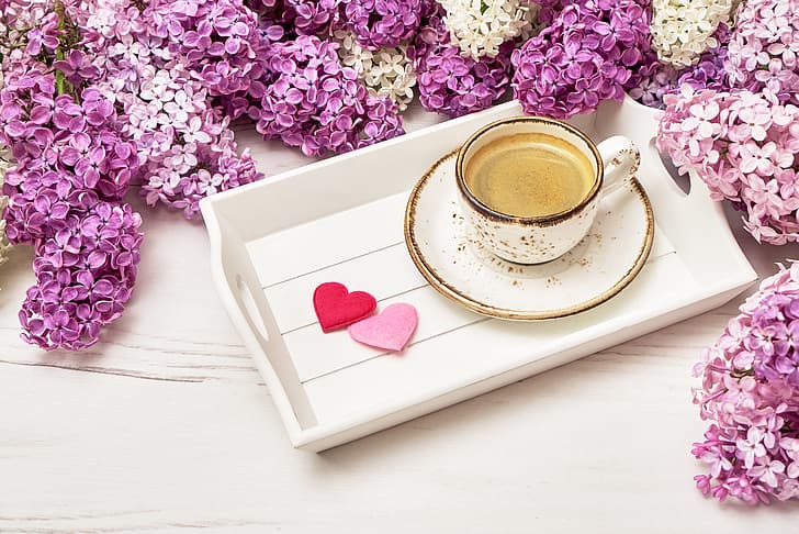 عناق هل حقا خدش  زهور، أرجواني، رومانسي، قلوب، فنجان قهوة، فنجان قهوة، خلفية HD