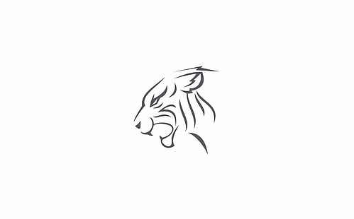 Cheetah Vector, feline illustration, Aero, Vector Art, Vector, White, Design, Cheetah, Symbol, graphic design, Sfondo HD HD wallpaper