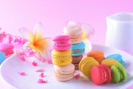  flowers, colorful, dessert, pink, cakes, sweet, macaroon, french, macaron, HD wallpaper HD wallpaper