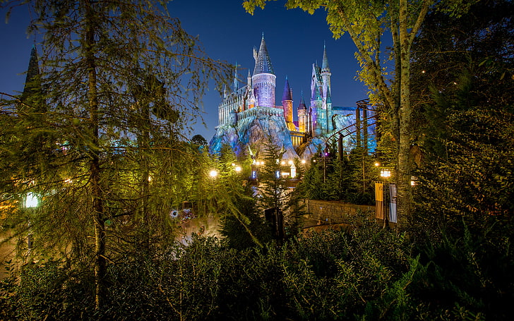 Schloss, Disneyland, HD-Hintergrundbild