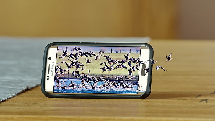 birds, nature, smartphone, Samsung, Samsung Galaxy S6 Edge, HD wallpaper