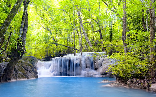Bäume, Wasserfälle, Wald, Fluss, Sommer, grüner Laubbaum, Bäume, Wasserfälle, Wald, Fluss, Sommer, HD-Hintergrundbild HD wallpaper