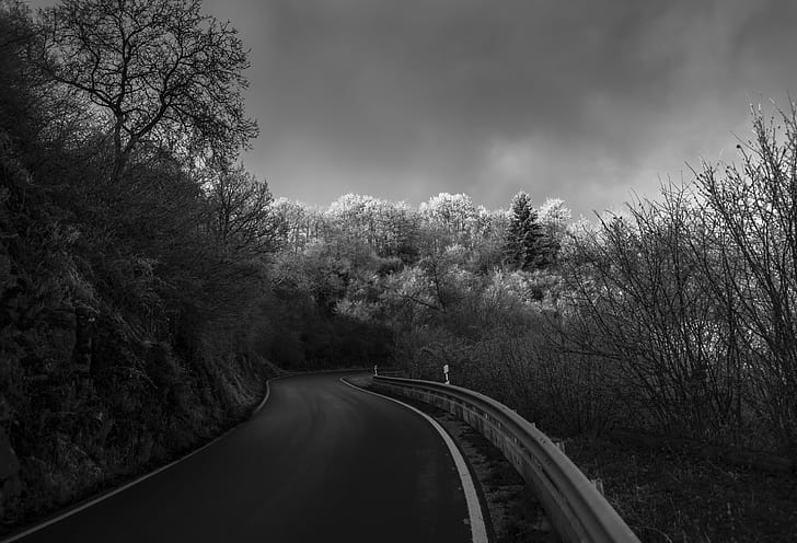 fotografia w skali szarości betonowej drogi między drzewami pod zachmurzonym niebem, droga, natura, transport, krajobraz, autostrada, czarno-białe, plener, Tapety HD